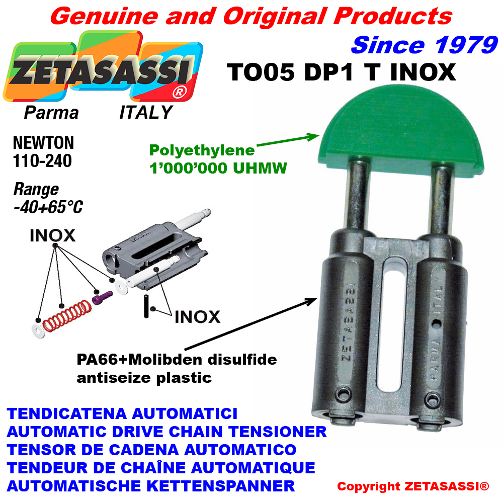  TO05 DP1 T INOX ZETASASSI 