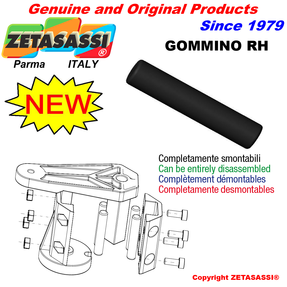  GOMMINO RH ZETASASSI 