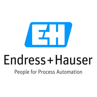  SFX350 Endress+Hauser 