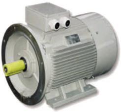  FCPM 180 L-4-8 AC-Motoren 