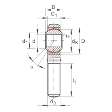   INA / Schaeffler GAKL20-PW