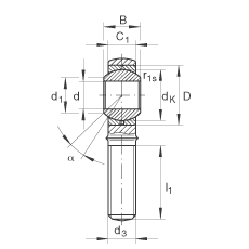   INA / Schaeffler GAKR20-PB