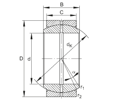   INA / Schaeffler GE12-DO