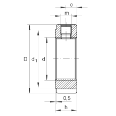   INA / Schaeffler ZM08