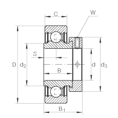   INA / Schaeffler RAE15-NPP-FA106