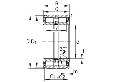   INA / Schaeffler SL045009-PP