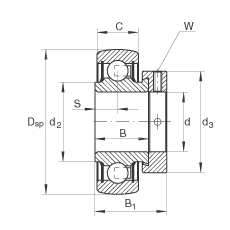   INA / Schaeffler RAE50-NPP-B