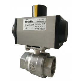 Ball valve 5113 EVIAN 