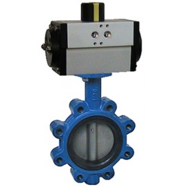 Butterfly valve 6390 EVIAN 