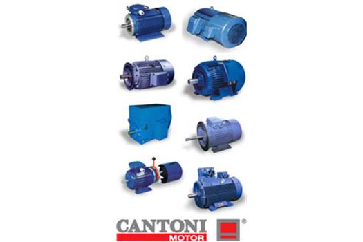  3SIE 160 M-4 Cantoni Motor 