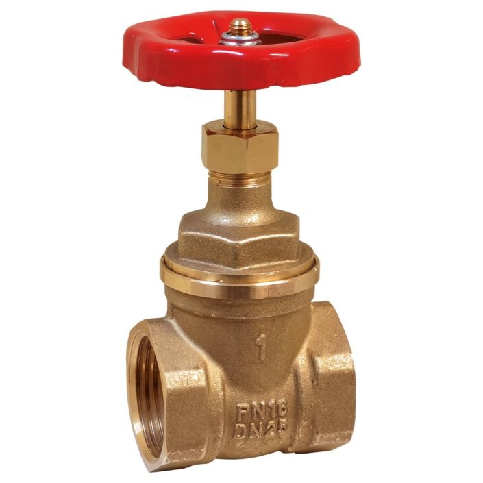 Gate valve  END-Armaturen IC101031