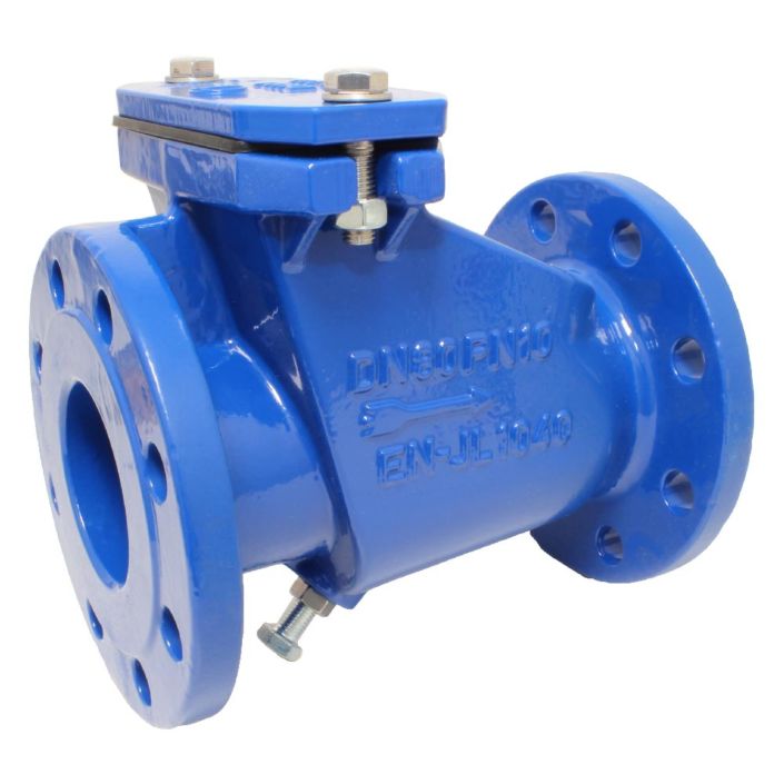 Sewage (waste water) Check Valve  END-Armaturen CW540008